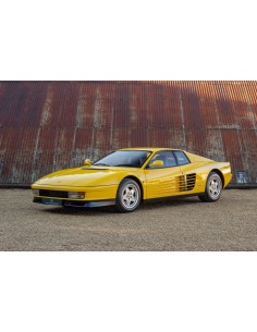 Modelado de color acrílico Ferrari Amarillo Modena...