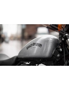 Metal Flakes Silver Mix 04/08 Estilo Americano en Base Mate