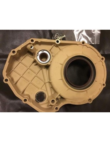 Colore Acrilico Metallizzato Oro Pallido Rosso...