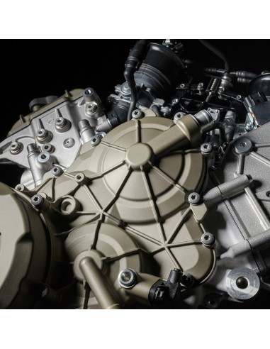 Farbe Acryl Magnesium Carter Motor Ducati...