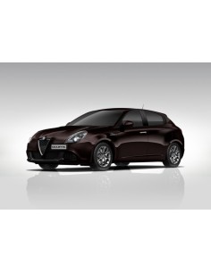 Acrylic Water Based Paint - Black Etna Alfa Romeo - 30ML
