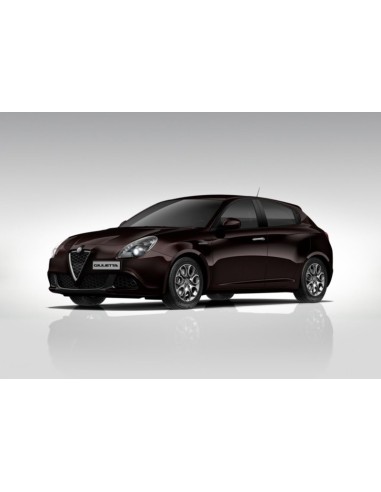 Acrylic Water Based Paint - Black Etna Alfa Romeo - 30ML