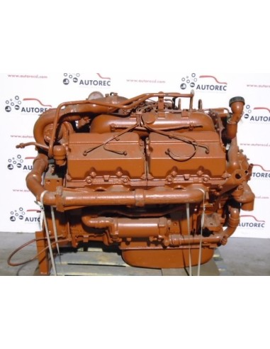 Colore Acrilico RAL 3009 Rosso Ossido Per...