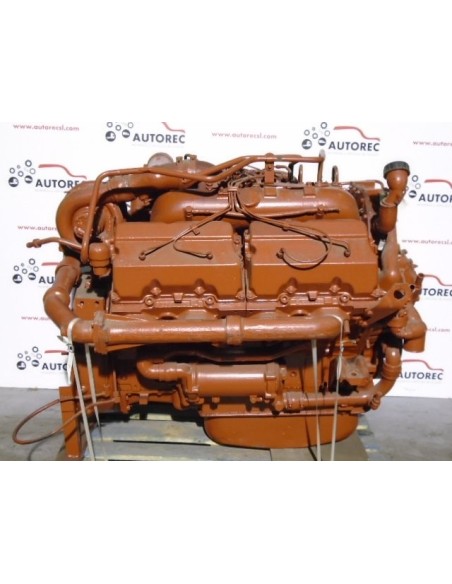 Colore Acrilico RAL 3009 Rosso Ossido Per Modellismo 30ML