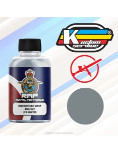 Modern Royal Air Force Medium Sea Grey BSC 637 Aircraft...