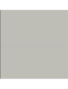 Colore Acrilico Federal Standard 36492 Ad Acqua 30ML