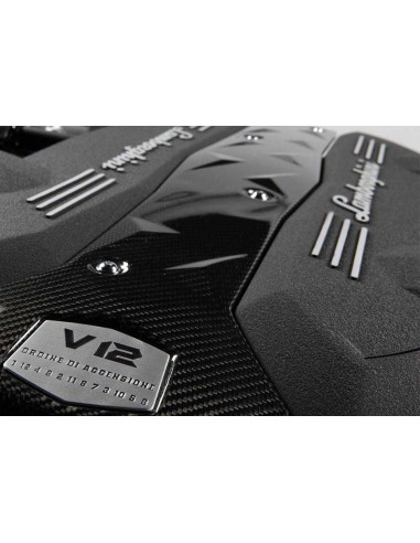 Peinture Froissée en Spray Noir Lamborghini...