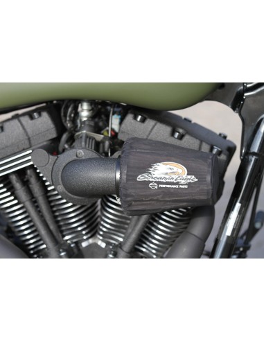 Schrumpflack Spray Schwarz Harley Davidson...