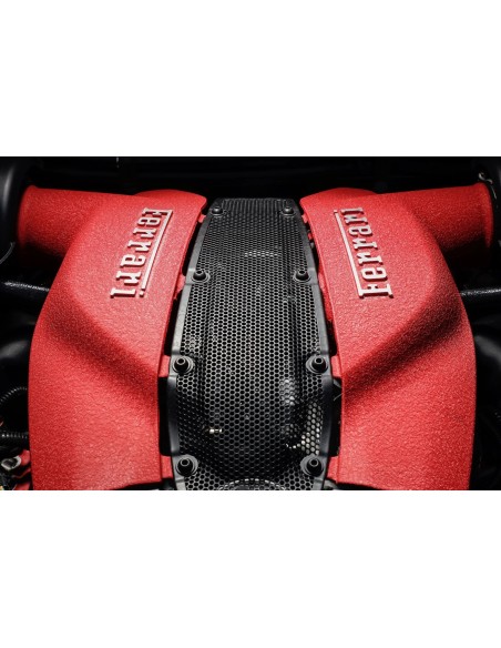 Maserati-Rot Hochtemperatur-Faltenlack für Motoren - 250g